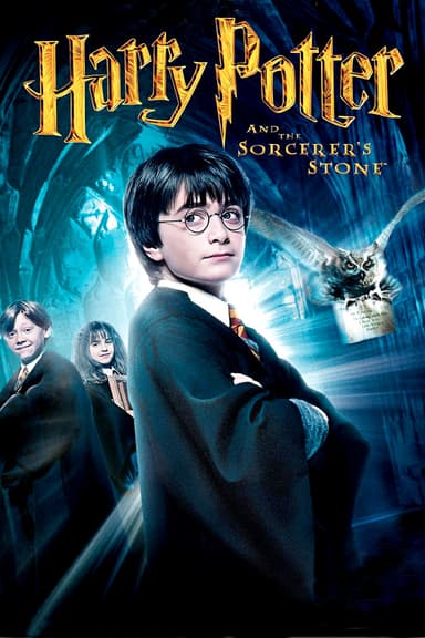 Harry Potter and the Sorcerers Stone 1 2001 - فيلم هاري بوتر وحجر الفيلسوف 1 (مترجم)